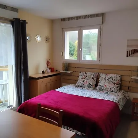 Appartamento Alisiers 18 *